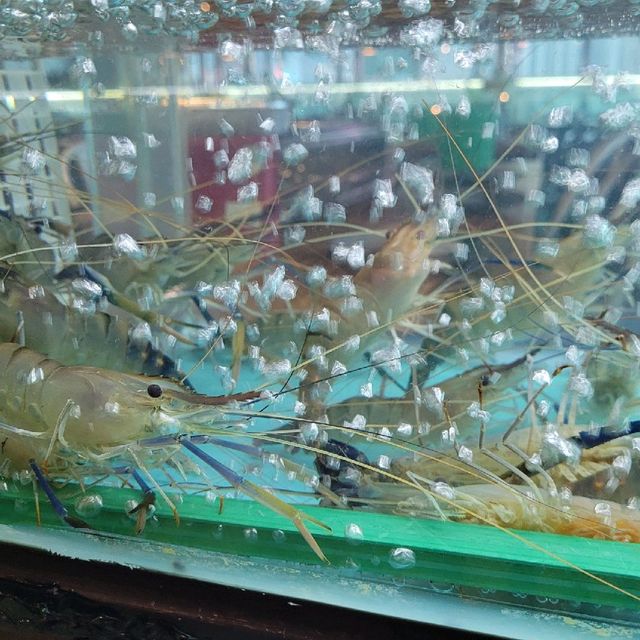 堅正流水蝦