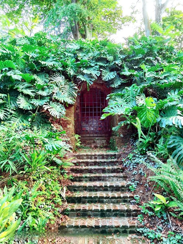 Instagramable Spot @FortCanning TreeTunnel