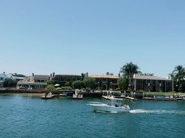 ล่องเรือชมเจ้าแมวน้ำ โลมา ที่ Newport Beach ♥️