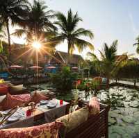 Dinner ar Manda dw Laos 