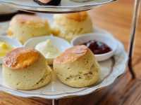 靚靚拍卡💡😎Grand Hyatt 香港君悅💁🏻‍♂️💡TIFFIN Afternoon Tea Set