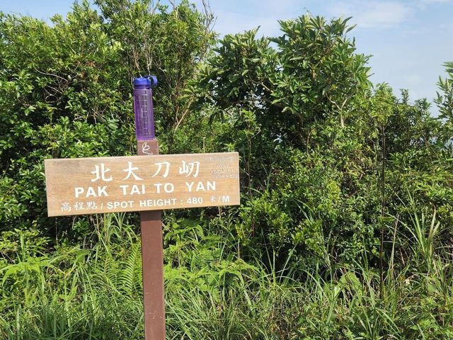 北大刀屻