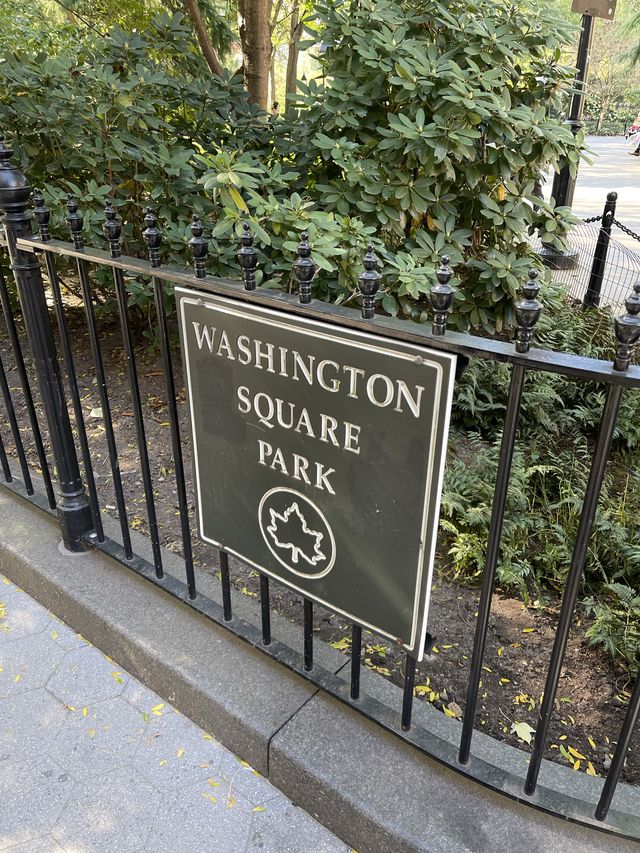 Washington Square park 🌲 뉴욕 명소