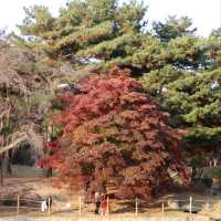 Hyeonchungsa Shrine