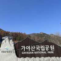가야산으로 가야해!
