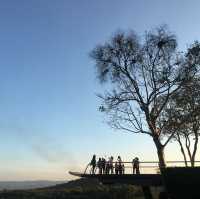 SinghaPark  .. ChiangRai 🌱🌿
