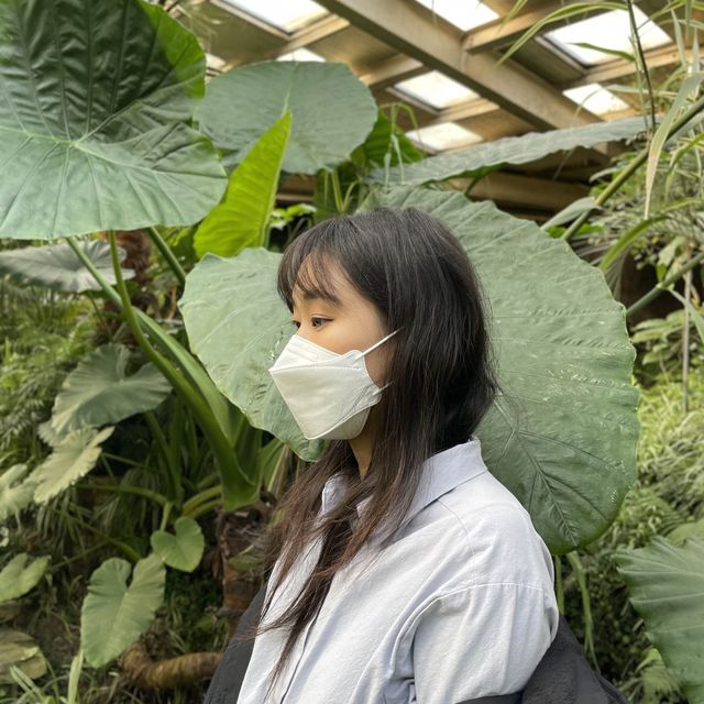양주여행 필수코스 카페안에 식물원이?!! 오랑주리🌿