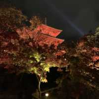 京都紅葉2022  清水寺のライトアップに圧倒される！
