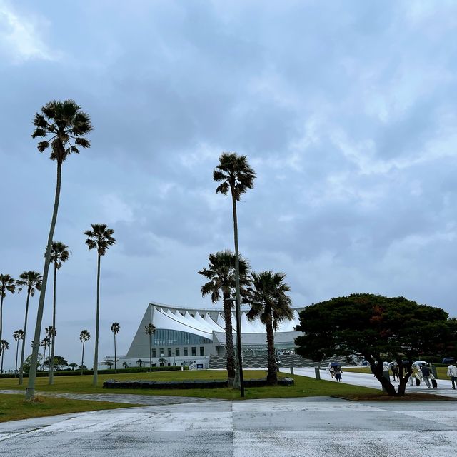 福岡親子遊：去水族館