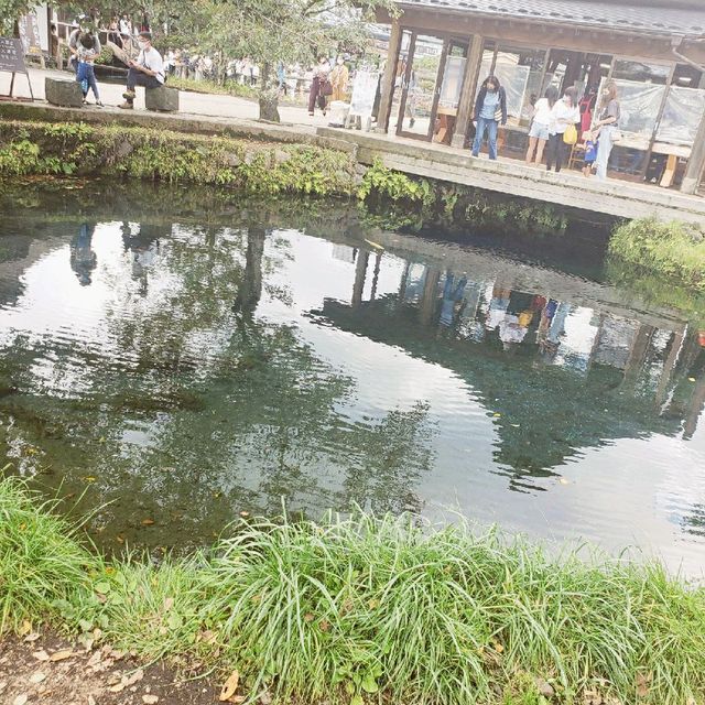 【山梨県】忍野八海