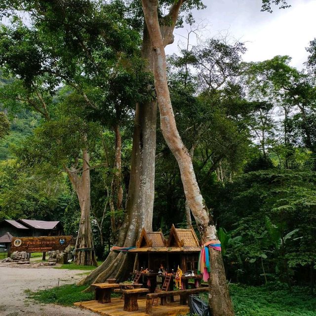 วนอุทยานถ้ำหลวงขุนน้ำนางนอน⛰️