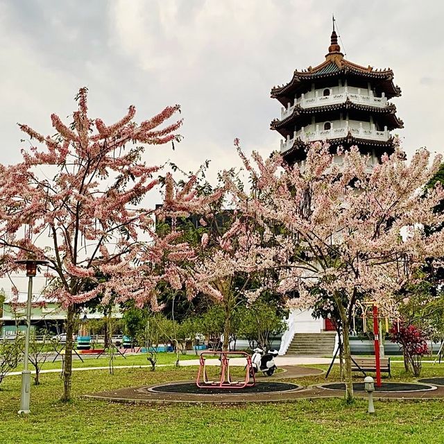 意外發現🌸網美景點🌸『彰化二水惠民公園』旁邊也超好取景📸