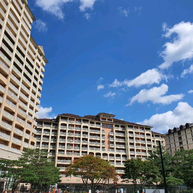 소노펫 홍천 비발디파크