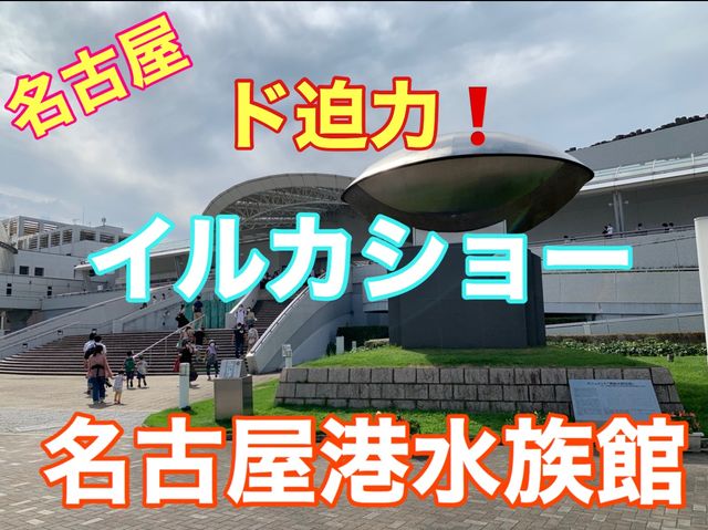 名古屋　広い！凄い！イルカショー❗️