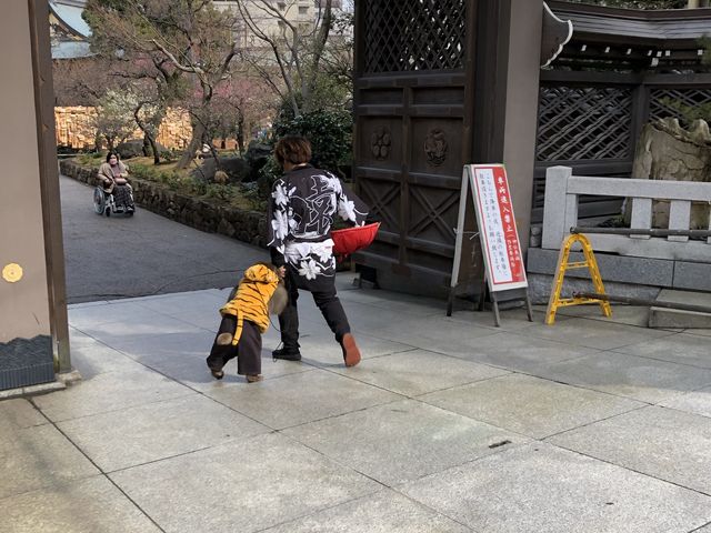 【東京】湯島天満宮 〜梅まつり(3/8まで)〜