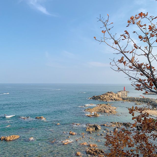 양양 가볼만한 곳 추천 바다가 보이는 절 휴휴암