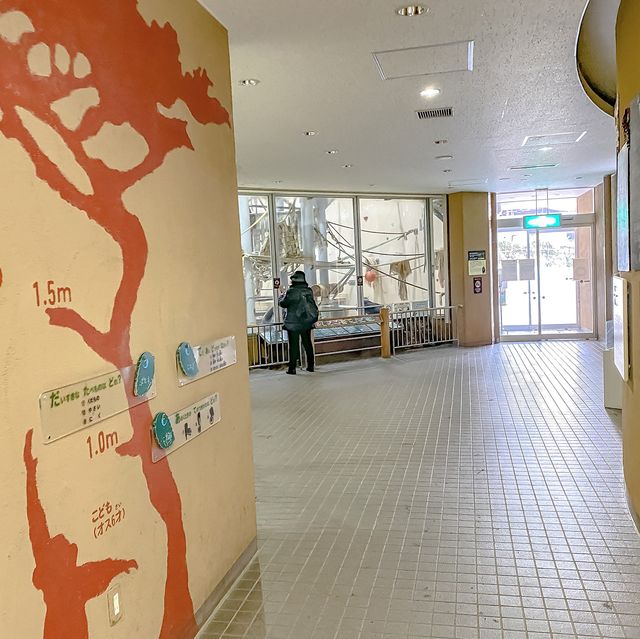 冬の円山動物園・チンパンジー館