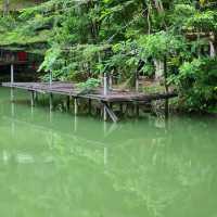 เดินชมศึกษาธรรมชาติ บรรยากาศร่มรื่นป่าเขา
