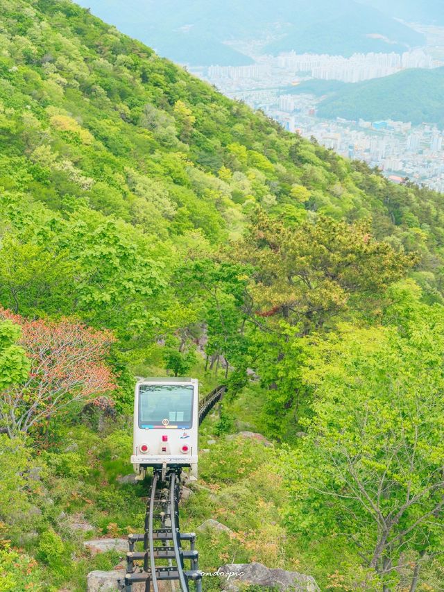 거제 봄 여행은 무조건 여기!