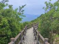 長洲北眺亭行山路線，看盡長洲。適合新手