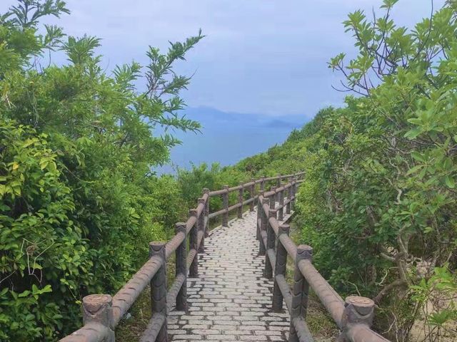 長洲北眺亭行山路線，看盡長洲。適合新手