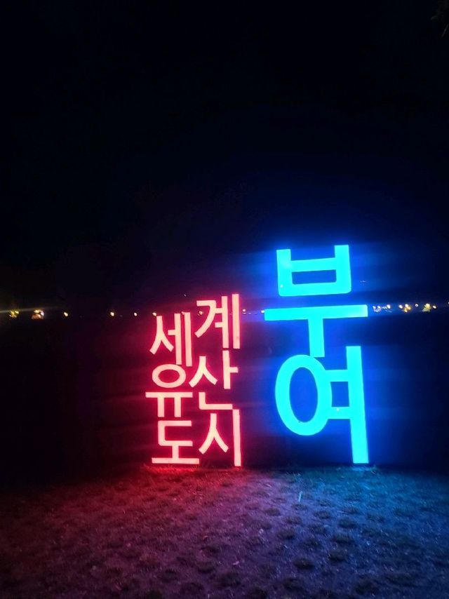부여 궁남지 연꽃