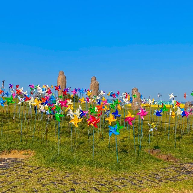 파주 당일 피크닉 추천 📍임진각 평화누리공원