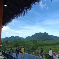 ไร่ชา1000 ไมลฺ์ ที่ใครๆต้องไม่พลาด