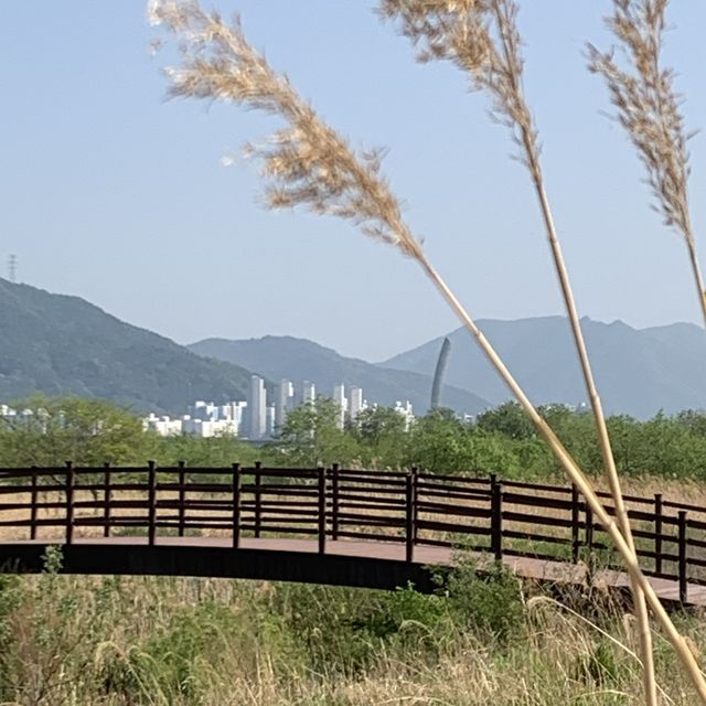 셀프웨딩, 캠핑 장소 추천! 양산 황산공원