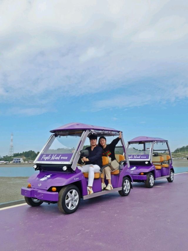 보라보라해💜세계 최우수 관광마을 전남신안 퍼플섬! 퍼플교💜💜