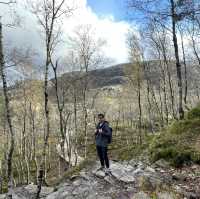 hiking to preikestolen