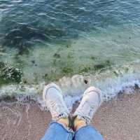 에메랄드 빛깔 맑은 바다와 노을을 구경할 수 있는 제주 협재해수욕장🌊