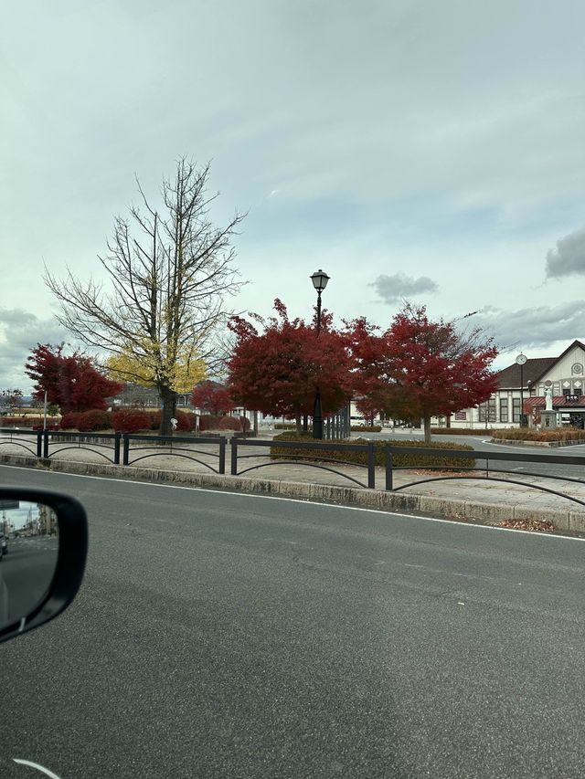 【福島】小峰城と紅葉
