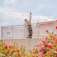 🌺제주에서 동백이 보고싶다면 꼭 추천하는곳! [제주, 동백포레스트]❄️