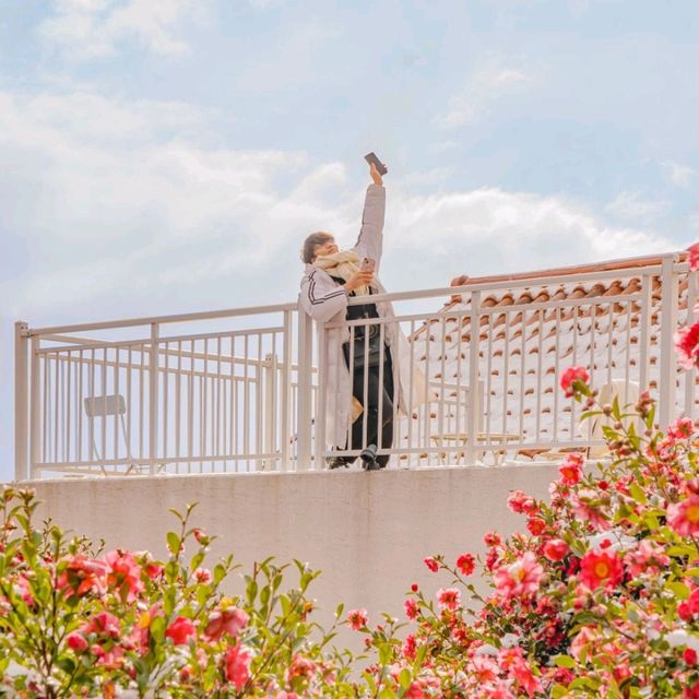 🌺제주에서 동백이 보고싶다면 꼭 추천하는곳! [제주, 동백포레스트]❄️