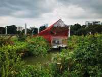 Jurong Lake Floating Wetlands - Part 1