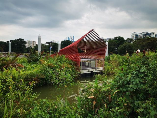 Jurong Lake Floating Wetlands - Part 1