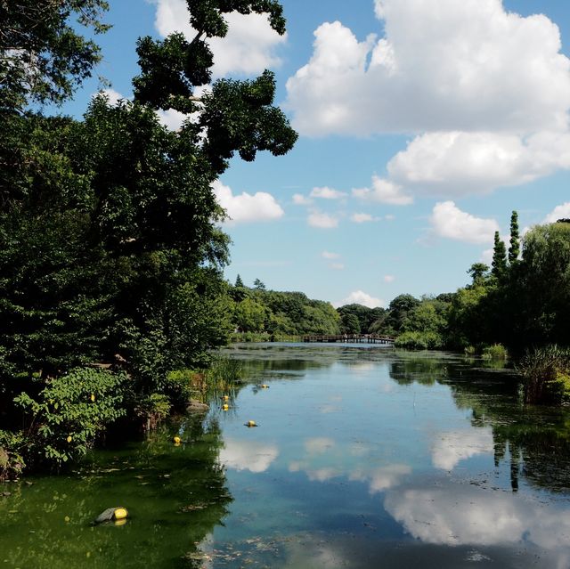 【東京】井の頭公園