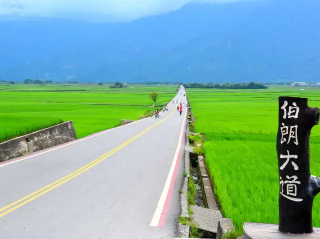 台東景點-伯朗大道