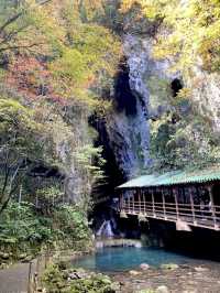 山口県🍁特別天然記念物！日本屈指の大鍾乳洞【秋吉洞】