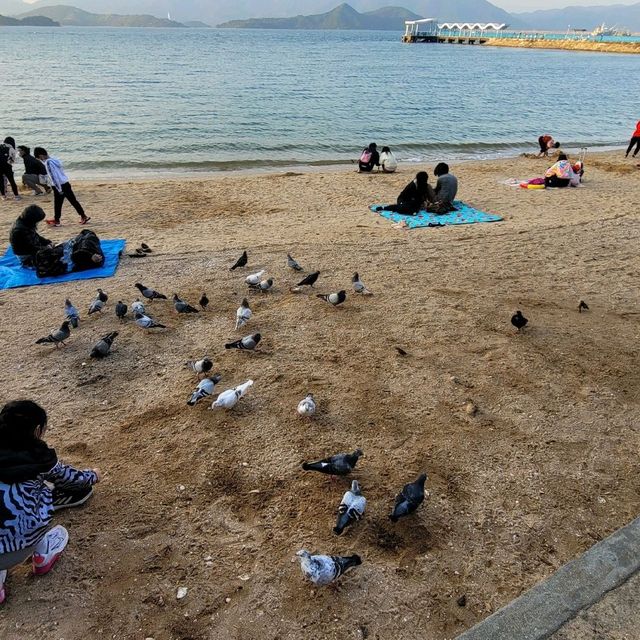 烏溪沙沙灘 ～ 海之心 