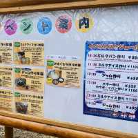 成田ゆめ牧場