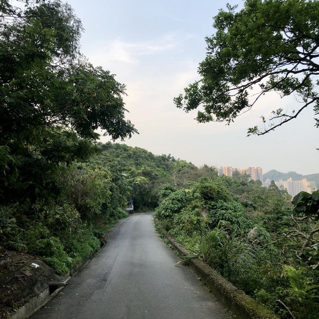 An abandoned secret fortress in HK