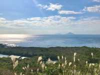 【東京】地層バームクーヘン！伊豆大島の地層切断面