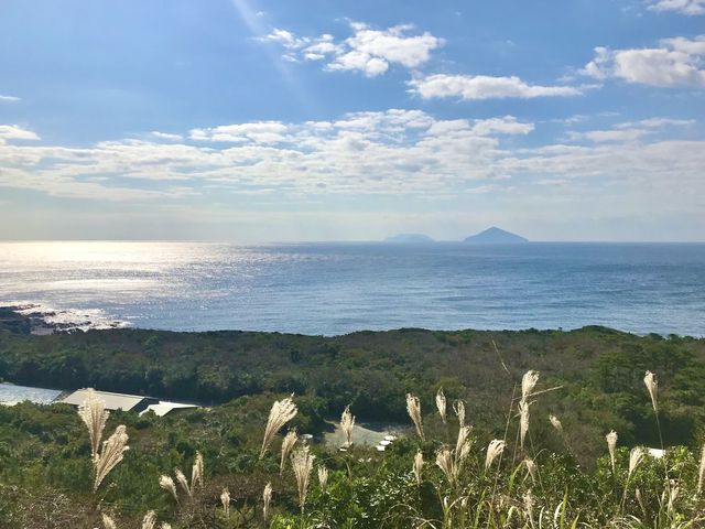 【東京】地層バームクーヘン！伊豆大島の地層切断面