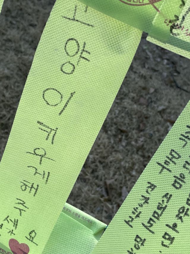 [낙산사] 소원을 말해봐🐈