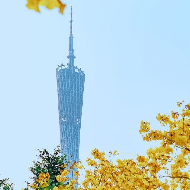 三月，在與鮮花爭春的廣州塔上吃喝玩樂