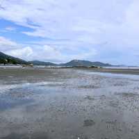 認識生態、親親大自然好地方 - 水口