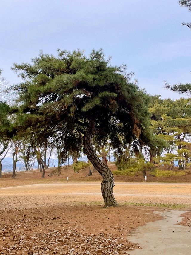 경주의 얼음창고 석빙고 🧊