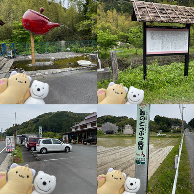 熊の散歩 クマ散歩:遠州森に品行方正なクマ出没 | Trip.com 森町